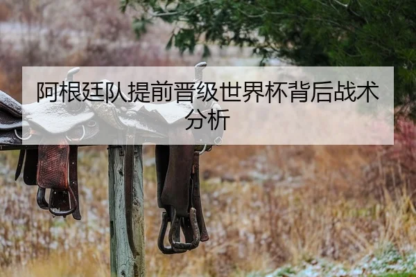 阿根廷队提前晋级世界杯背后战术分析